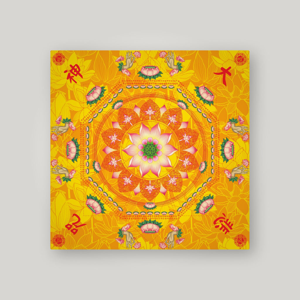 BAIS13 - 百手莲花 – front