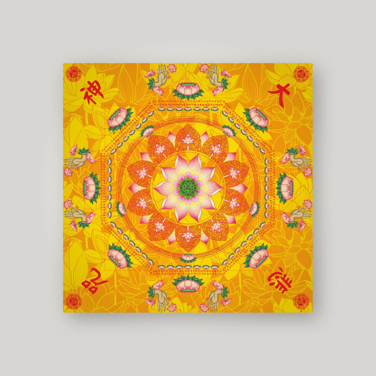 BAIS13 - 百手莲花 – front