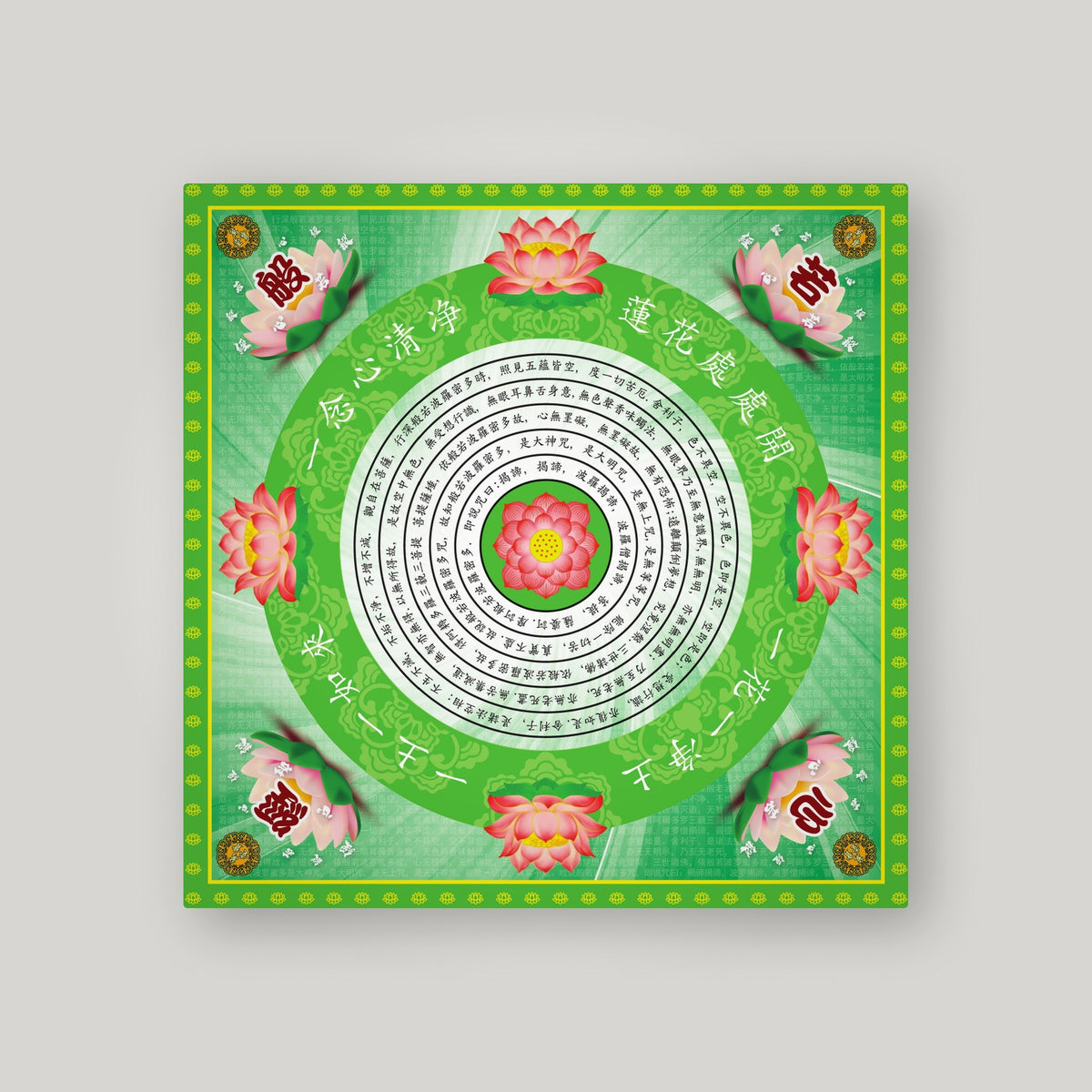 QX8 - 清心莲花 – Light green – back