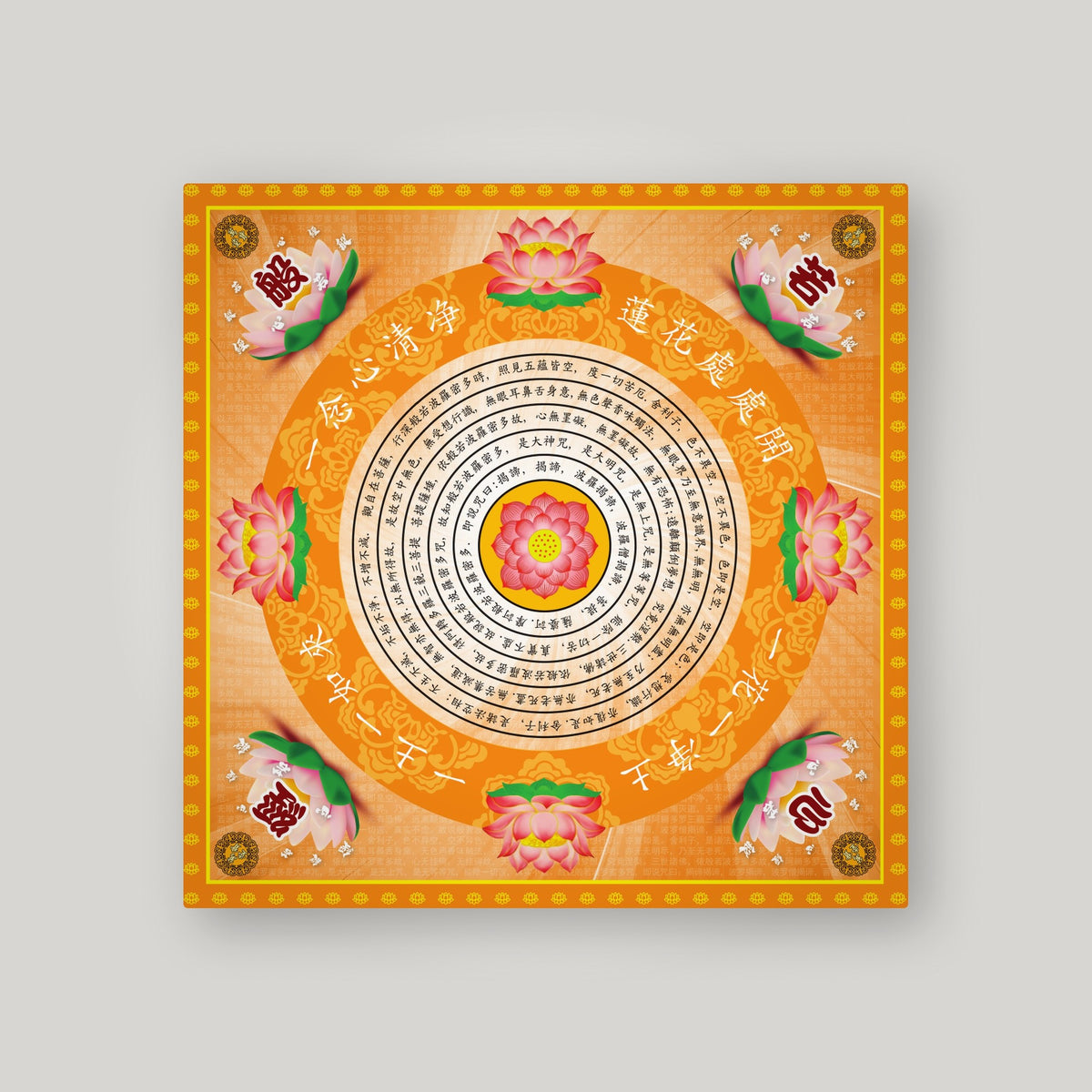 QX8 - 清心莲花 – Orange – front