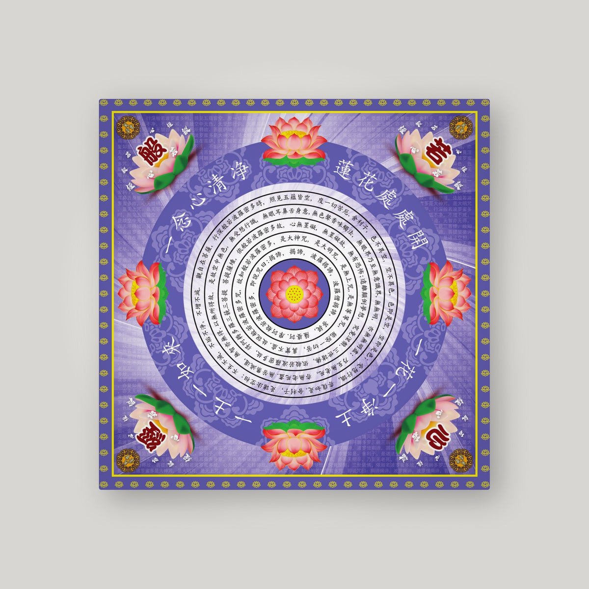 QX8 - 清心莲花 – Purple – back