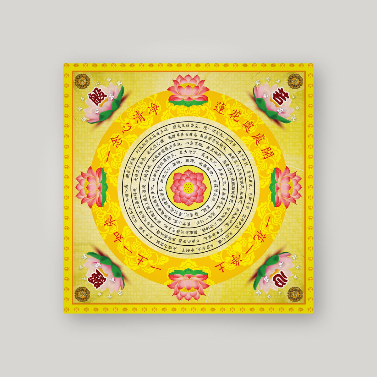 QX8 - 清心莲花 – Yellow – back