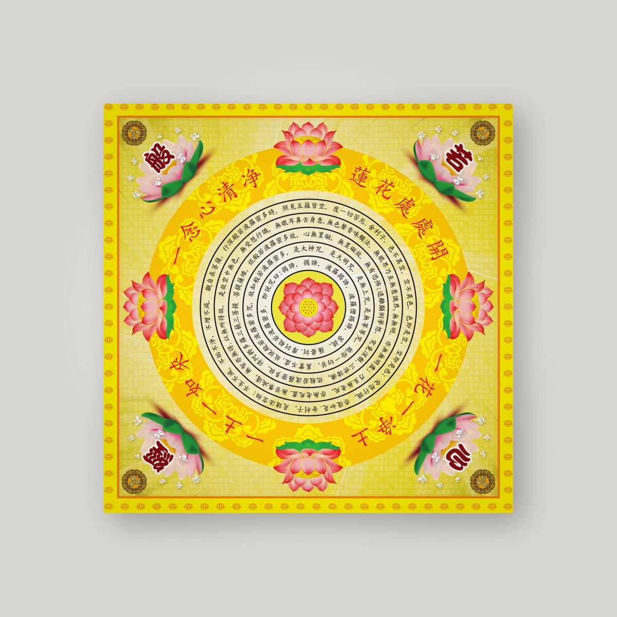 QX8 - 清心莲花 – Yellow – front
